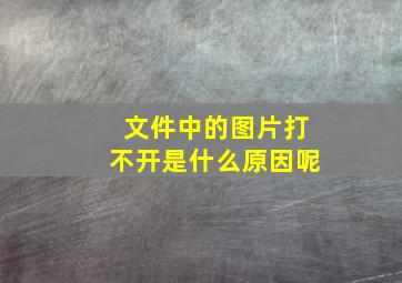 文件中的图片打不开是什么原因呢