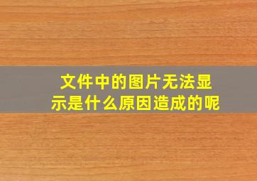 文件中的图片无法显示是什么原因造成的呢