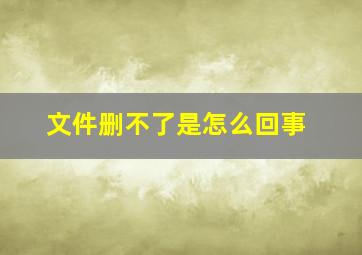 文件删不了是怎么回事