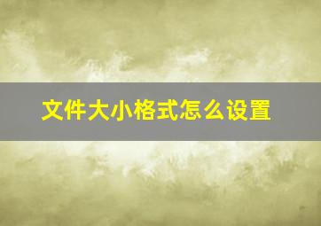 文件大小格式怎么设置