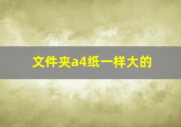 文件夹a4纸一样大的