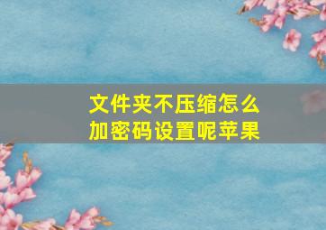 文件夹不压缩怎么加密码设置呢苹果