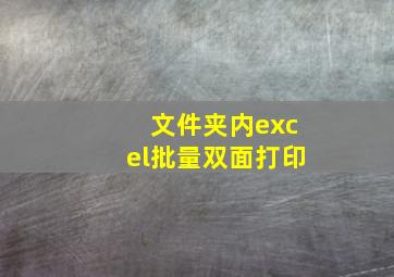 文件夹内excel批量双面打印