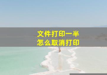 文件打印一半怎么取消打印