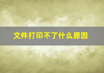 文件打印不了什么原因