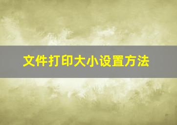 文件打印大小设置方法