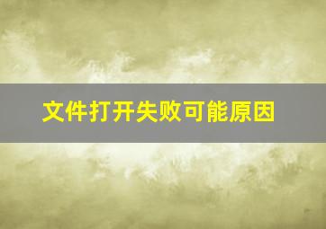 文件打开失败可能原因