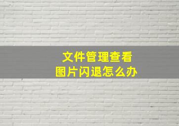 文件管理查看图片闪退怎么办