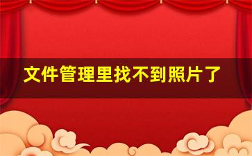 文件管理里找不到照片了