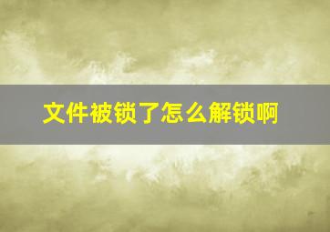 文件被锁了怎么解锁啊