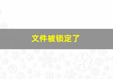 文件被锁定了