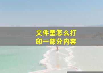 文件里怎么打印一部分内容