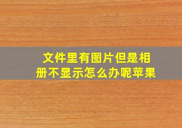 文件里有图片但是相册不显示怎么办呢苹果