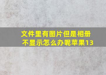 文件里有图片但是相册不显示怎么办呢苹果13