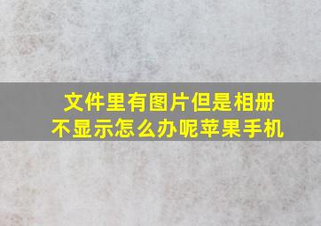 文件里有图片但是相册不显示怎么办呢苹果手机