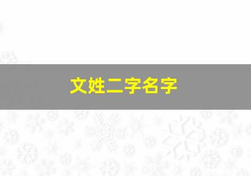 文姓二字名字