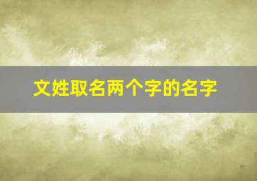 文姓取名两个字的名字