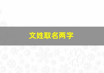 文姓取名两字