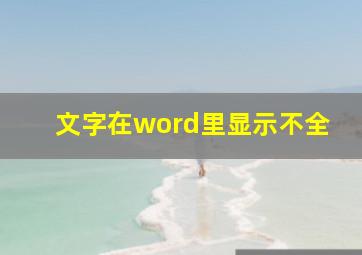 文字在word里显示不全