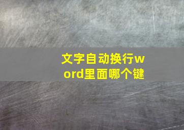 文字自动换行word里面哪个键