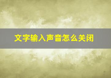 文字输入声音怎么关闭