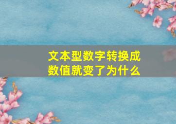 文本型数字转换成数值就变了为什么