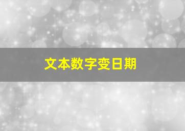 文本数字变日期