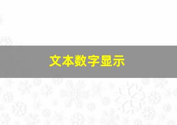 文本数字显示