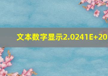 文本数字显示2.0241E+20