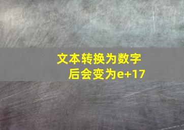 文本转换为数字后会变为e+17