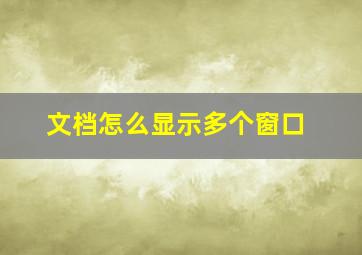 文档怎么显示多个窗口