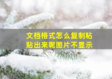 文档格式怎么复制粘贴出来呢图片不显示