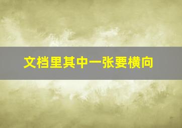 文档里其中一张要横向