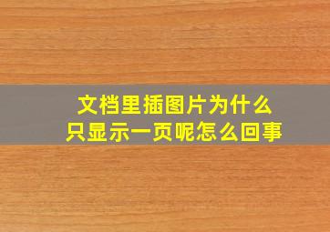 文档里插图片为什么只显示一页呢怎么回事