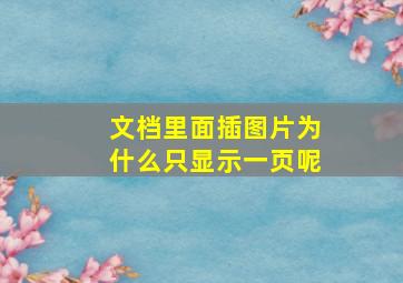 文档里面插图片为什么只显示一页呢