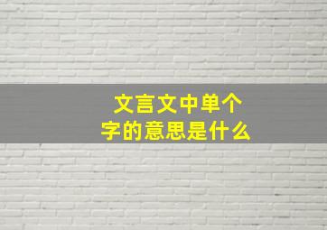 文言文中单个字的意思是什么