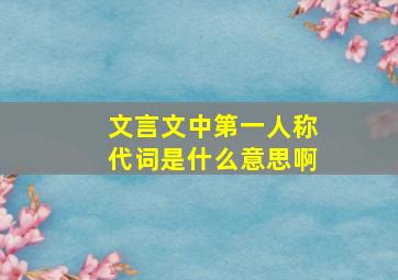 文言文中第一人称代词是什么意思啊