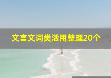 文言文词类活用整理20个