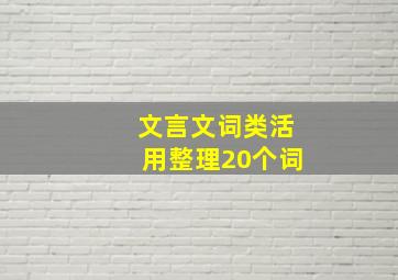 文言文词类活用整理20个词