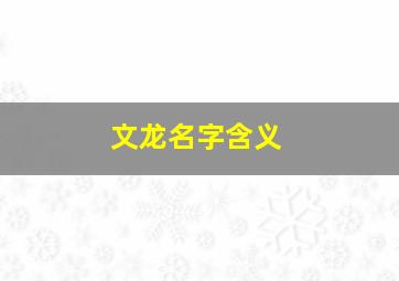 文龙名字含义