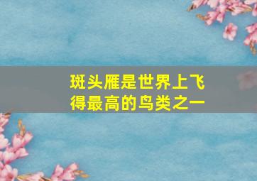 斑头雁是世界上飞得最高的鸟类之一