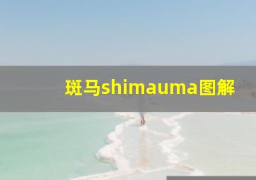 斑马shimauma图解