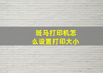 斑马打印机怎么设置打印大小