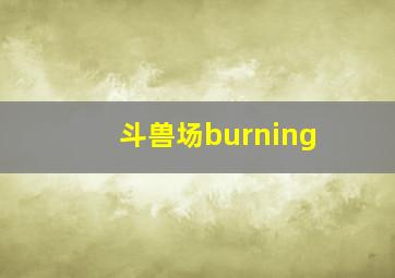 斗兽场burning