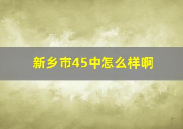 新乡市45中怎么样啊