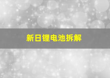 新日锂电池拆解