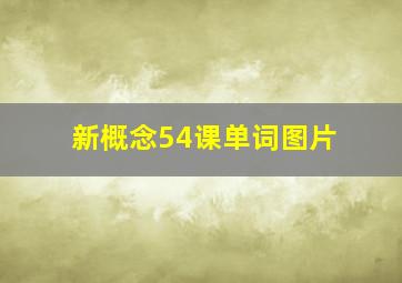 新概念54课单词图片