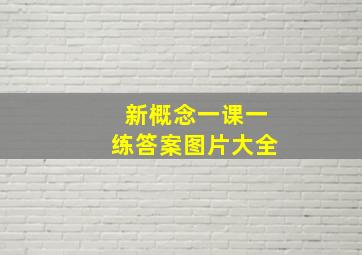 新概念一课一练答案图片大全