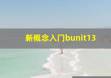 新概念入门bunit13