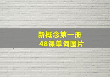 新概念第一册48课单词图片